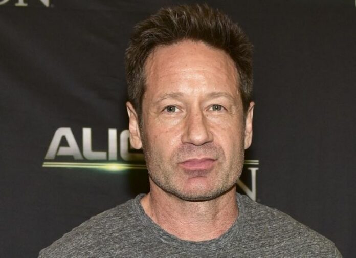 David Duchovny Bio Age Height Weight Career Wife Net Worth